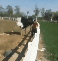 湖州|“钓鱼的时候飞到我手上的，第一次见，谁知道这个是什么？”哇哈哈哈～