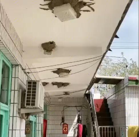 陶莉点评 稀奇！男子家被燕窝“霸占”，数量接近百个，网友：住燕子家了