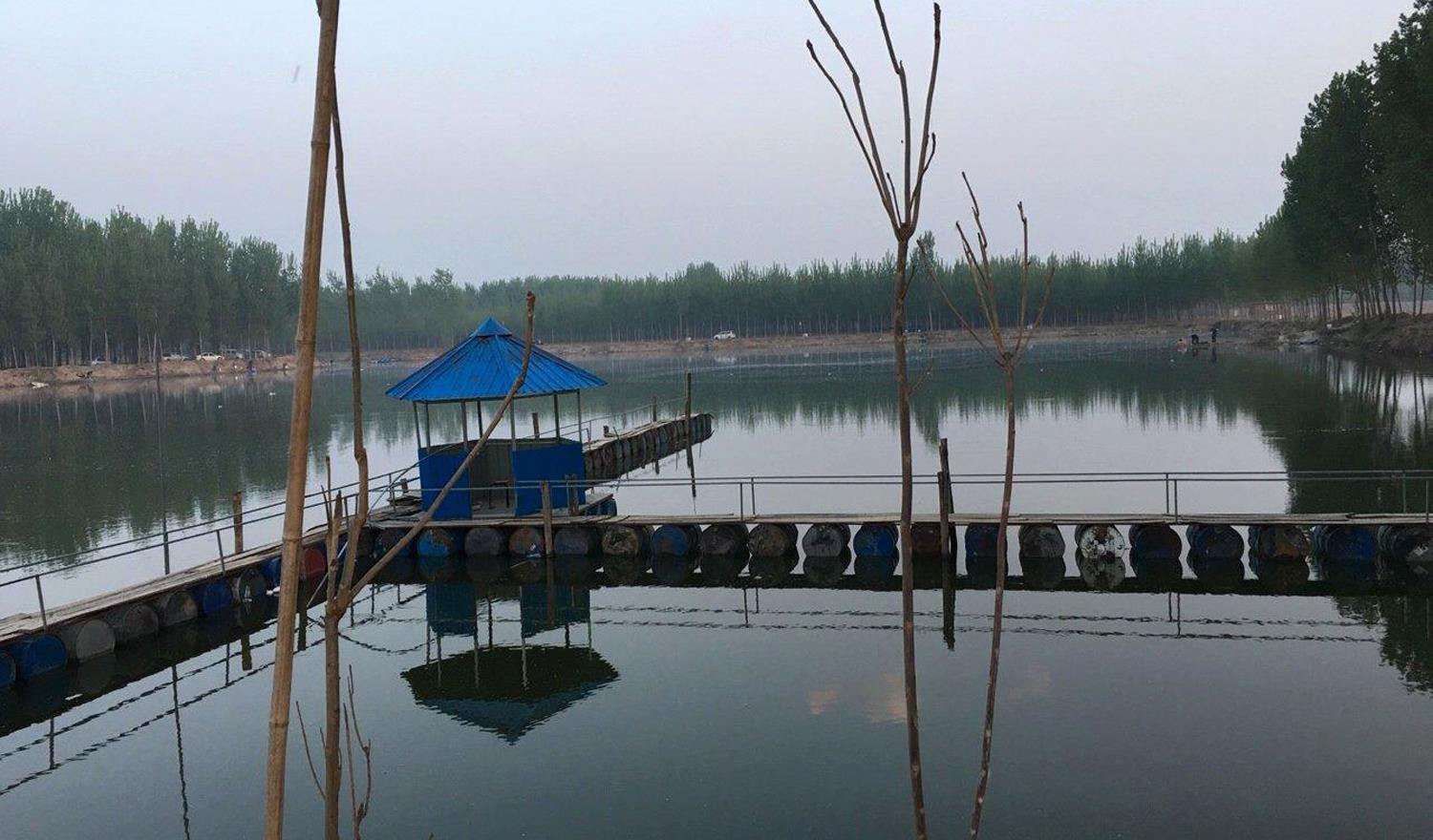 聊聊|国内最大的鲤鱼黑坑钓场是哪个？全国大型鲤鱼黑坑钓场前两名