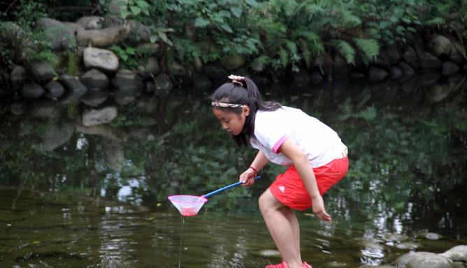 池塘 水里遇到的“会动的铁丝”到底是一种什么东西？