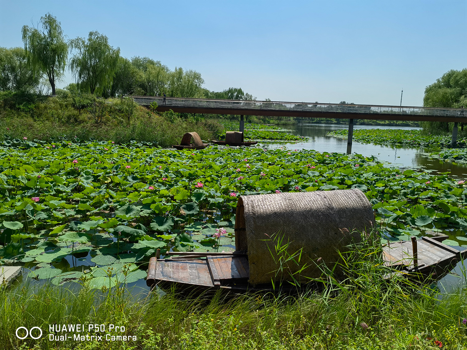 律师 华为P50 Pro实拍,3.5X长焦镜头画质如何?已达可信赖程度