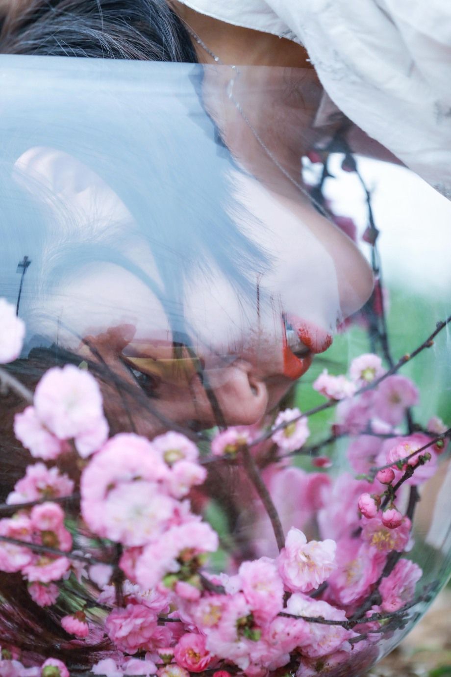 盛开 摄影师 老默