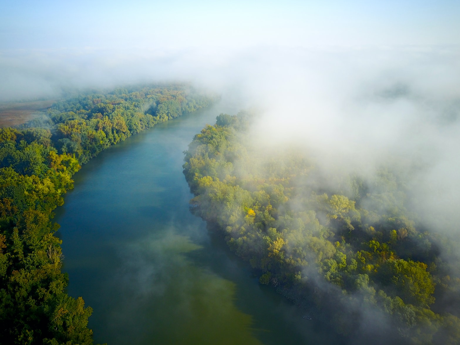 |黑坑鱼情透视（精髓）