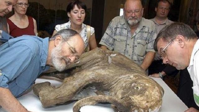 花颜有情兮 科学家追寻永生,与女模特冒险注射350万年前细菌,后来怎样了?