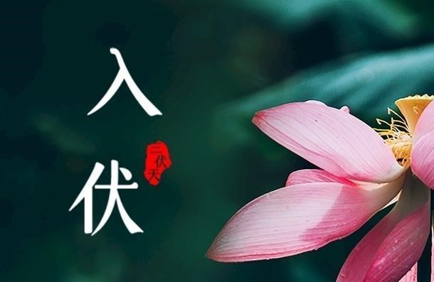 入伏|三伏天到了，少喝绿豆汤多喝它，入伏喝到处暑，顺利度过最热40天
