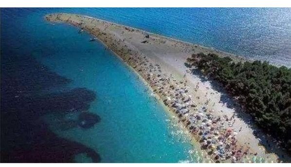 微生物|九大违背人类逻辑的超自然现象