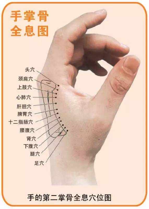 健康缘来很简单|人体全息图，哪里不适按哪里（留着备用）