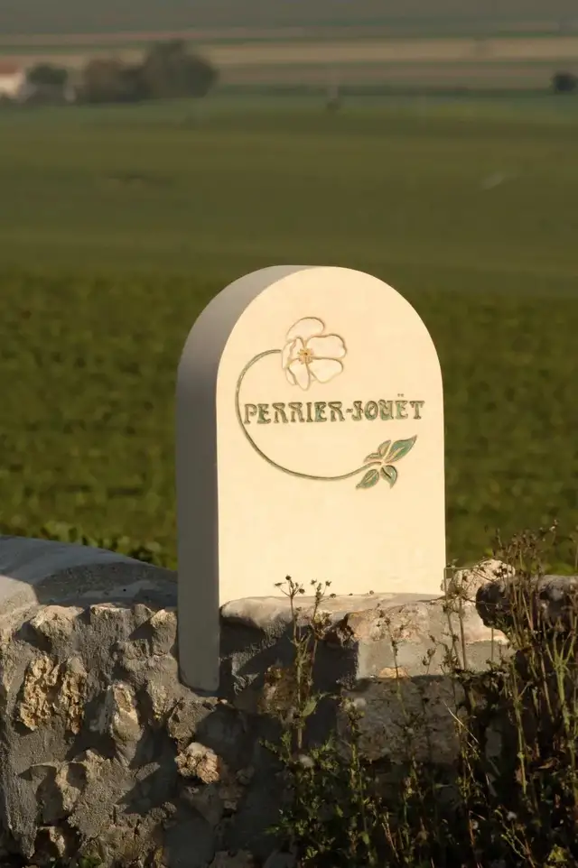 时尚生活派|繁花盛夏,带上香槟叫上闺蜜,一起投向美丽时光的户外浪潮