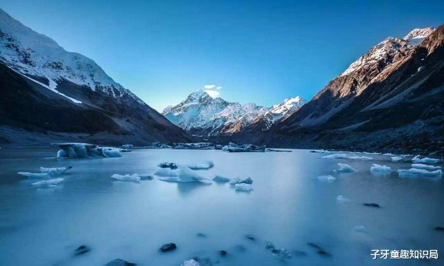 藏羚羊 50亿只北美旅鸽为何一只不剩？美国人是如何让这物种消失的?