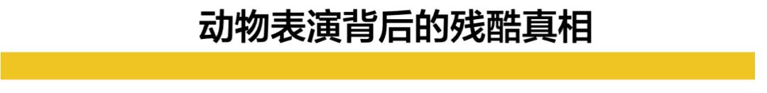 浙江省 被灌药、囚禁、殴打、扒衣... 她直播自杀24小时后，全世界都哭了
