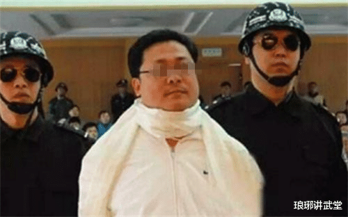 袁宝璟|“悲情才俊”袁宝璟：28岁身家37亿，33岁娶知名女星，40岁被处决