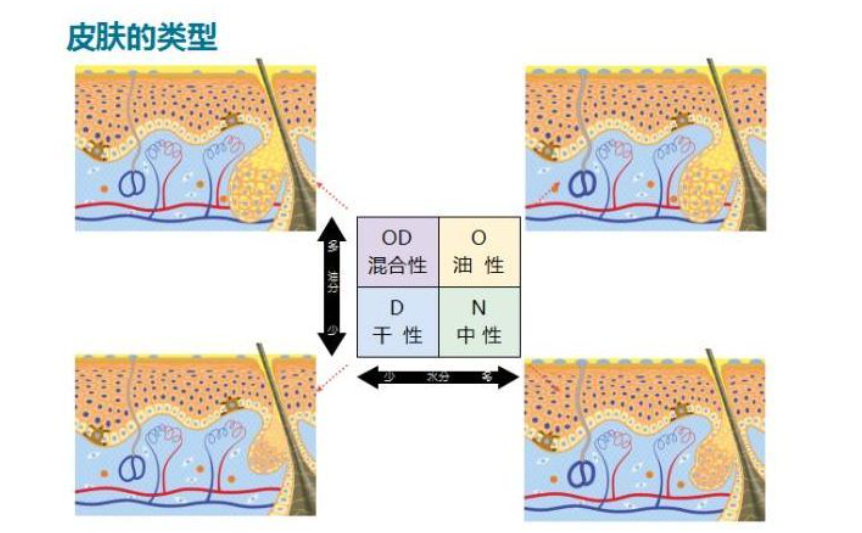 珑阳谈护肤 护肤也要“断舍离”，这份“精简护肤”指南，收好不谢