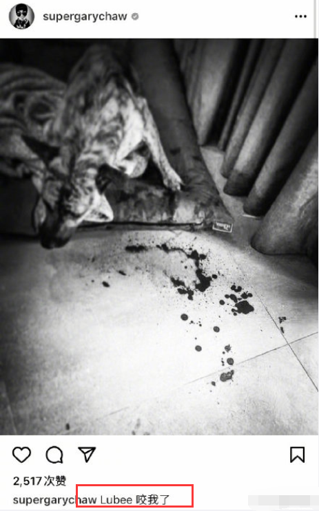 曹格|曹格被收养的狗咬伤，地板大片血迹触目惊心，吴速玲方回应伤势