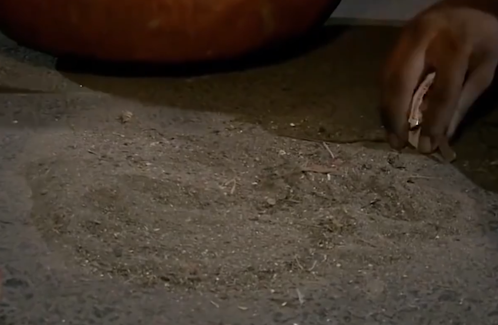 印度 印度人真实生活：每天扫大街，都能赚1000人民币？