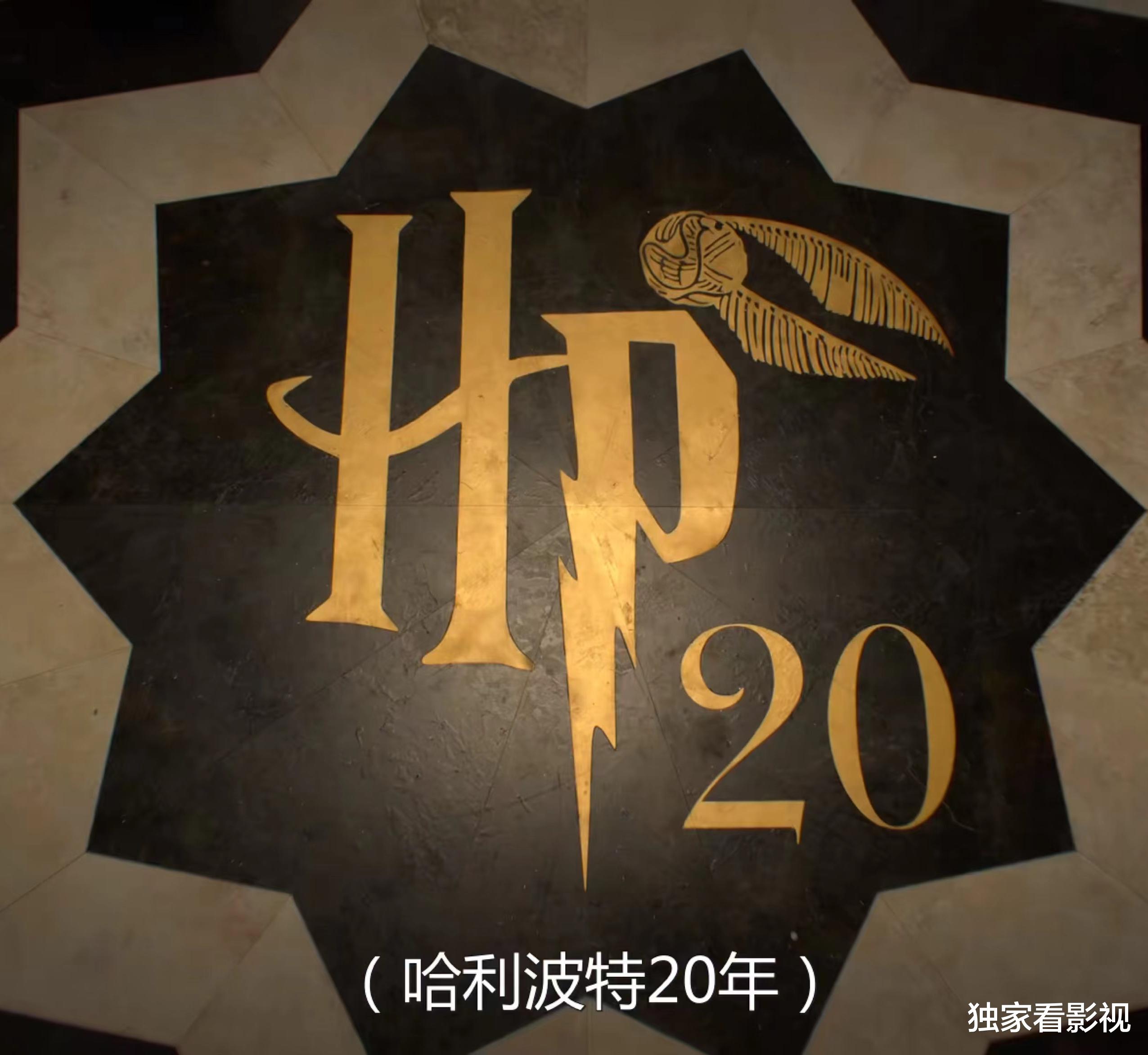 哈利·波特|《哈利波特》配角发展不输主角，有人演蝙蝠侠，有人成奥斯卡影帝