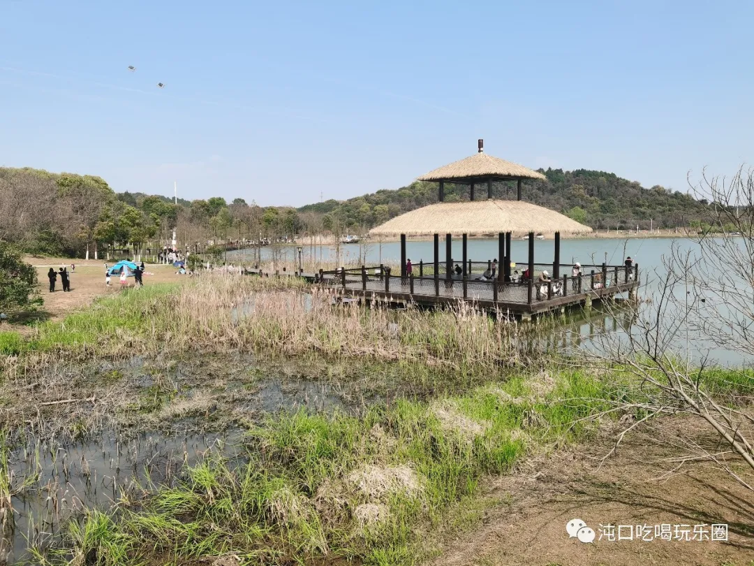 沌口之声 龙灵山成了沌口亲子踏青的好去处！