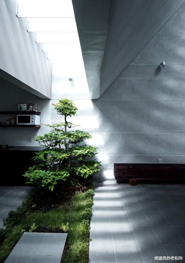 |长宽比达8：1的超长住宅：一系列的洞穴空间组成序列