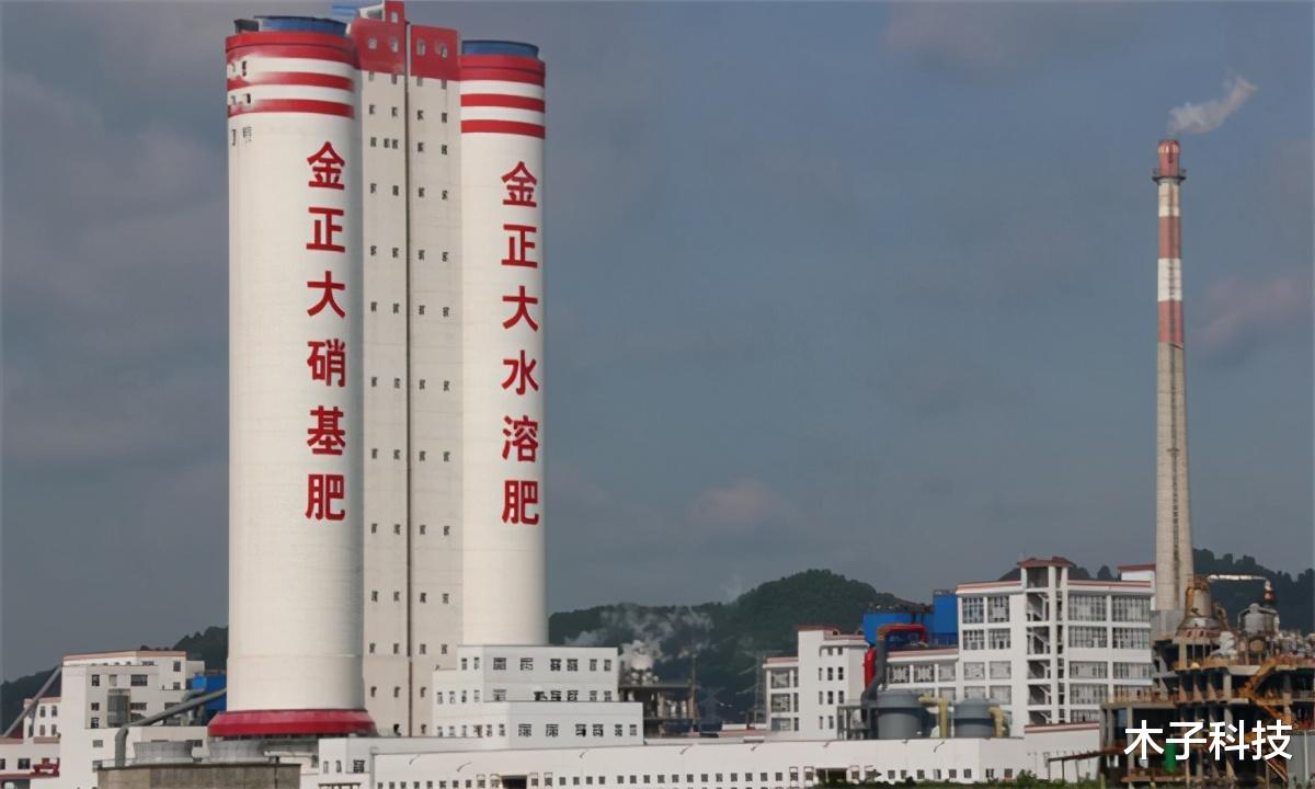 金正大 民营企业家的双面人生:接力乐视,造假230.73亿,现亏损33.66亿