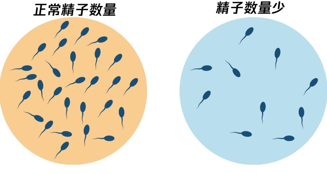 洗髓功志诚|洗髓功提升“小蝌蚪”质量，这原本是我最骄傲的事，现在越来越差【视频分享】