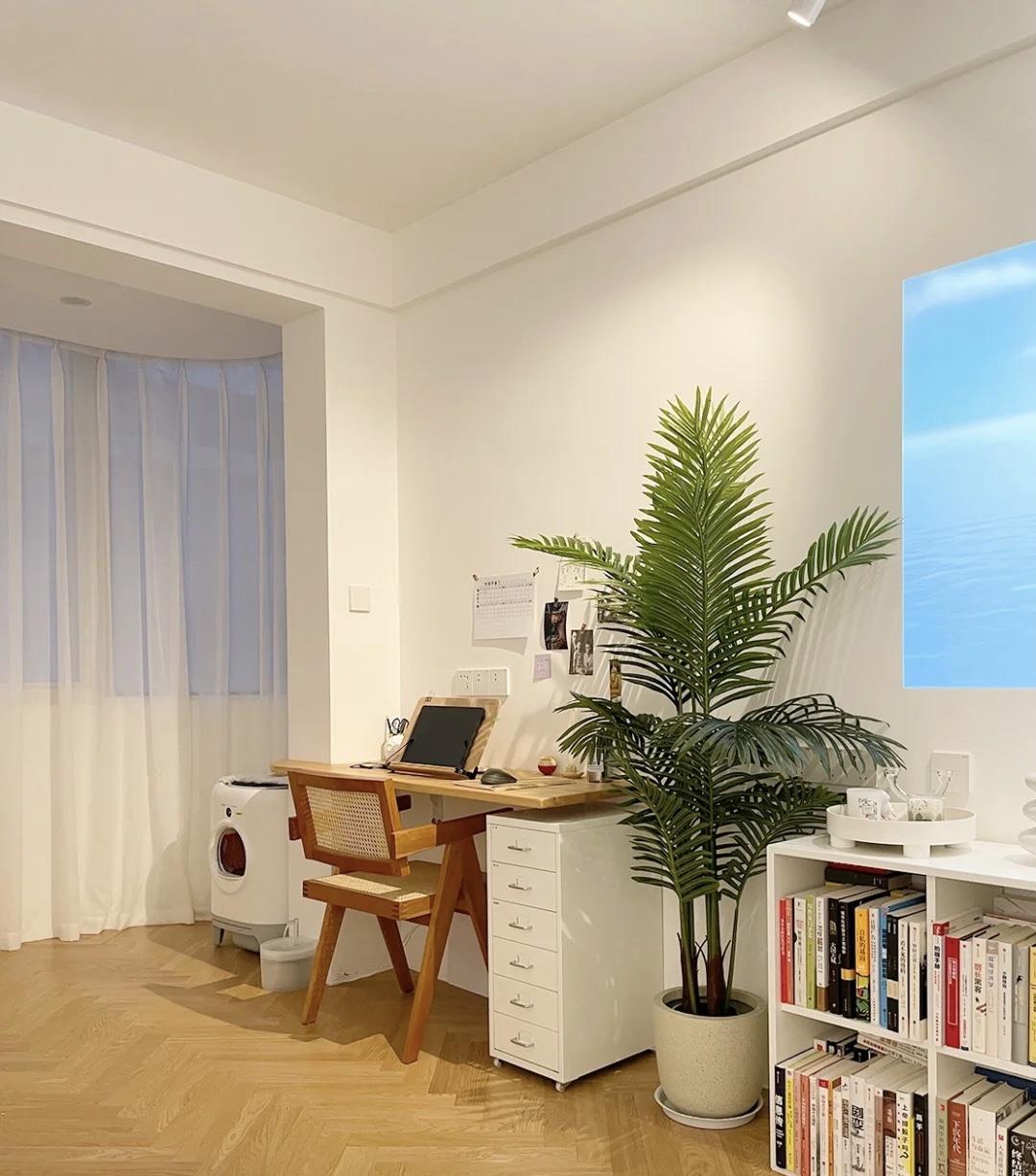 28岁女主与猫55㎡新居，处处干净清爽，井然有序，圈粉无数