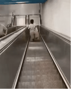 |“吃完了半盘才发现12块一个，现在跑来得及吗？”