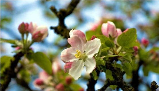 天蝎座|6月底，阴霾散尽，曙光重现，生活焕然一新，美梦终于实现