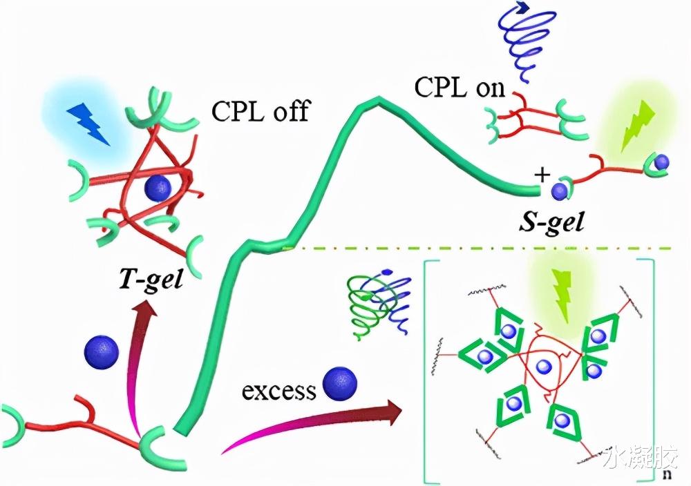  超声和热控制水凝胶网络Al3+/LysTPY配位聚合物可切换超分子构型