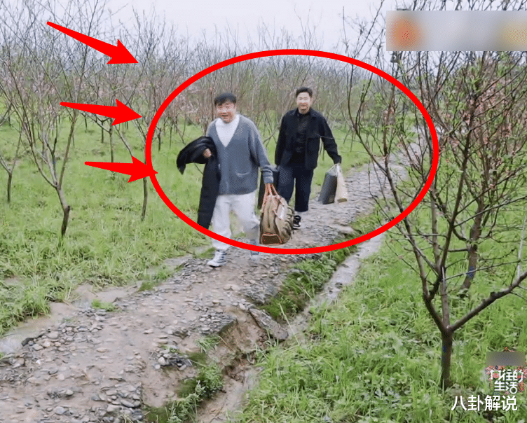 杨紫|杨紫与张艺兴被传恋情绯闻，录综艺却丝毫不避嫌，睡裤是情侣装吗