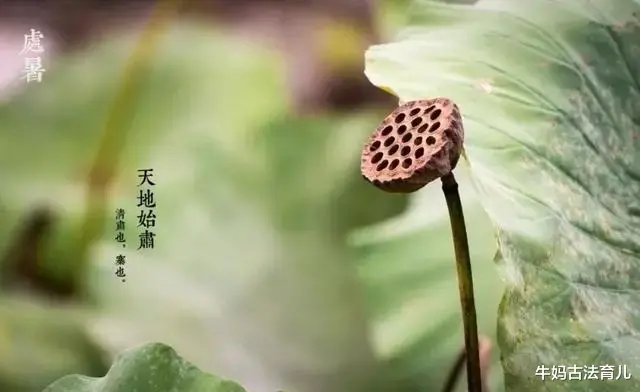 牛妈古法育儿|处暑前后这样推拿 给孩子加固身体的第一道防线