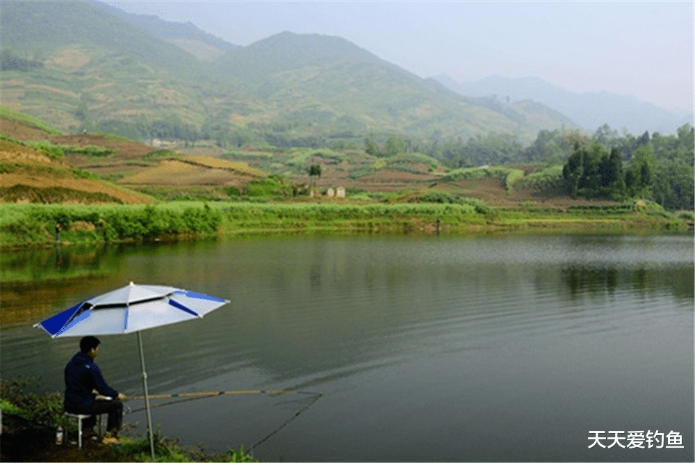 |一年四季钓鱼时间表，种地可以看24节气，钓鱼也行！