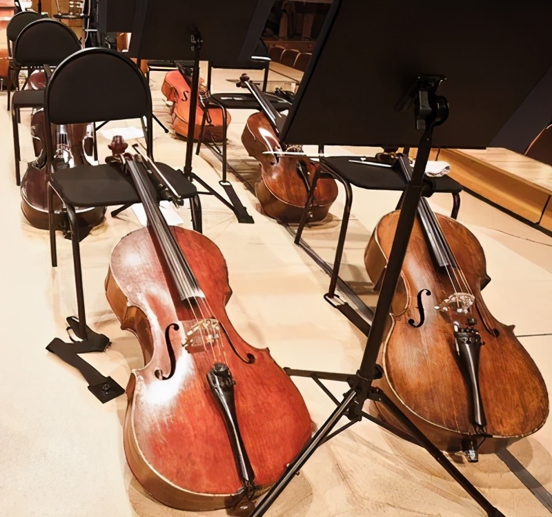 中国新视野网 芳菲四月，2021“东莞爱乐季”即将启动，一起聆听城市花开的乐章