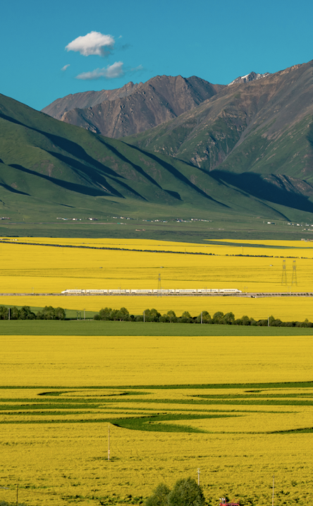西宁|被预言下一个“瑞士”，这个夏日均温20°C的宝藏地，刘昊然都来打卡！