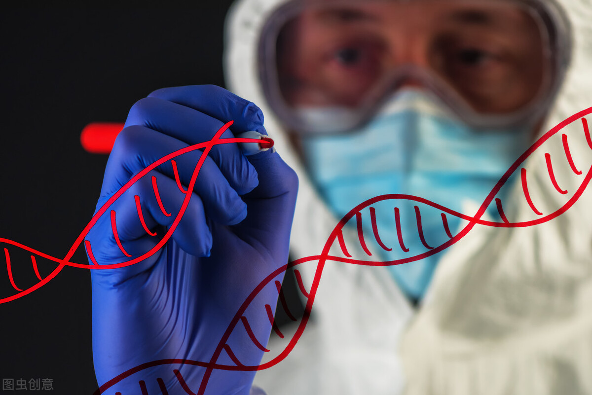 恐龙|马斯克旗下公司称将培育恐龙，15年内可育种，真的能做到吗？