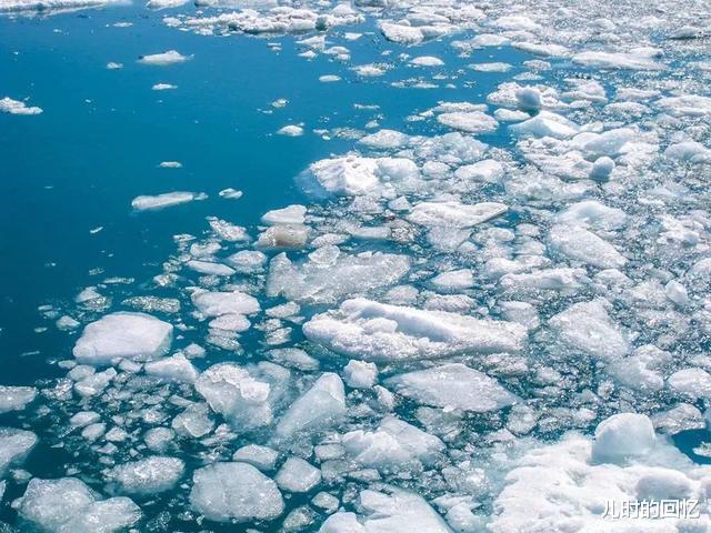 北极出现史前生物尸体，对于人类而言不是好消息，科学家担忧不已