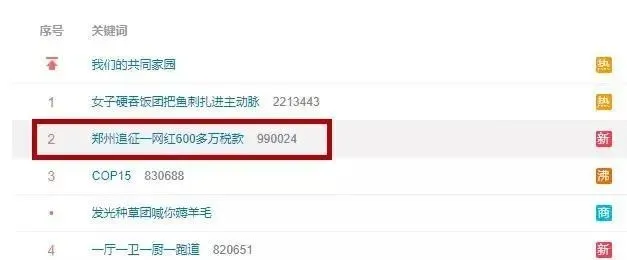 雪梨|逃税被罚近一亿！雪梨、林珊珊还有机会重返直播间吗？