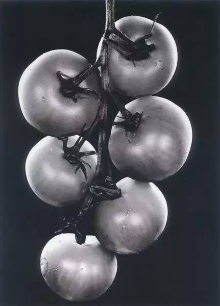 周润发|周润发:“香港之子”被拉下神坛,他的完美人设如何被媒体摧毁?