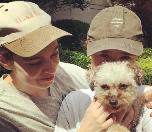 官宣|官宣离婚！恩爱终于装不下去了？