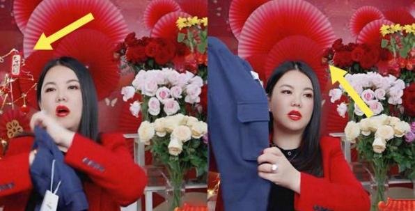 李湘|素质低下，说谎成精？“贵妇”李湘为何活成所有人都讨厌的样子