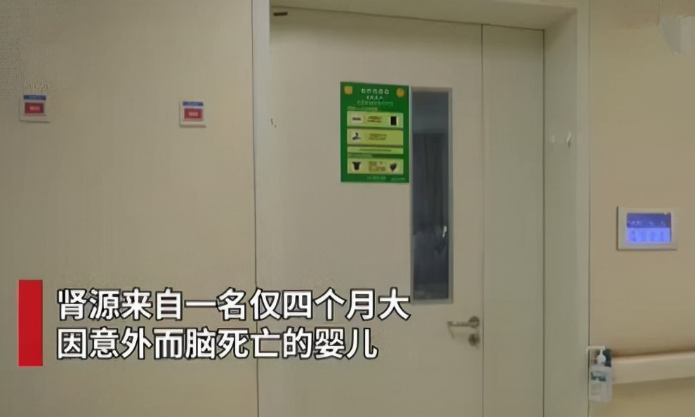 好孕|天使在人间：4月大女婴去世后捐献肾脏，救活15岁少年，大爱无疆