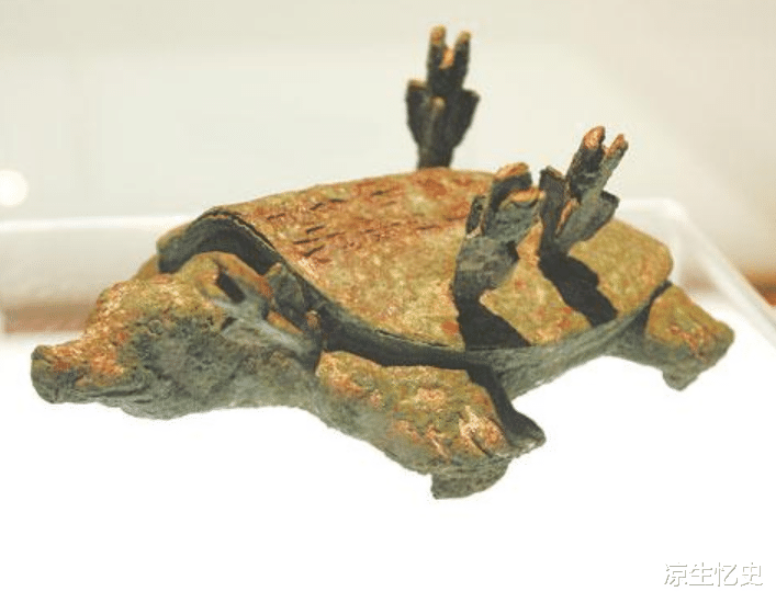 河南|河南老人钓到一只“乌龟”，龟背插4箭，专家乐了：这龟价值不菲