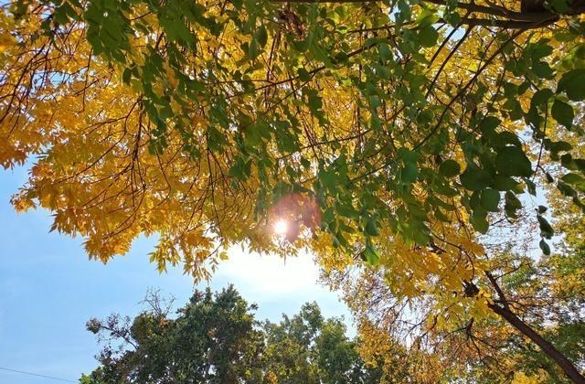 realme q3|realme Q3s重度使用一周,有些话不吐不快,优缺点都很明显