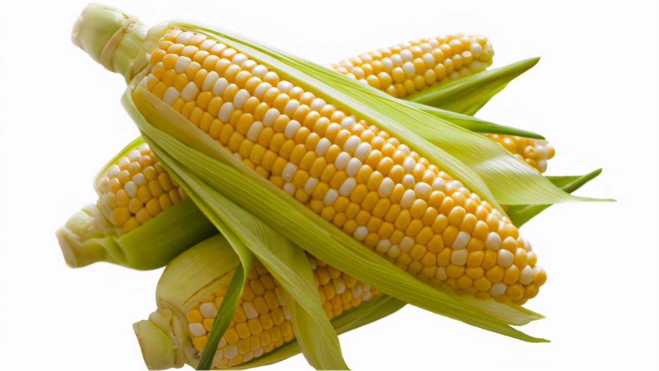 肝脏|脑部有血栓，头部会告知，提醒：大脑有4“怕”，改掉1件都加寿