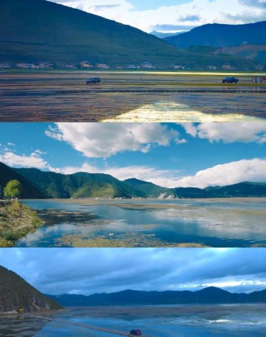 李木戈|网传《东宫》后,彭小苒再度与李木戈导演二搭,男主人选引热议!