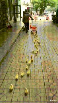  “合租女室友天天不关门是几个意思！”网友：你说啥意思就是啥意思！