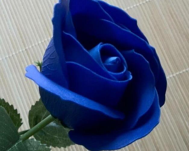 白羊座|2月下旬，职场进展顺，不缺幸福感，存款越来越多的3个星座