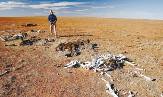 物种灭绝 第6次大灭绝即将到来？科学家警告：2100年，超8成生物或将灭绝