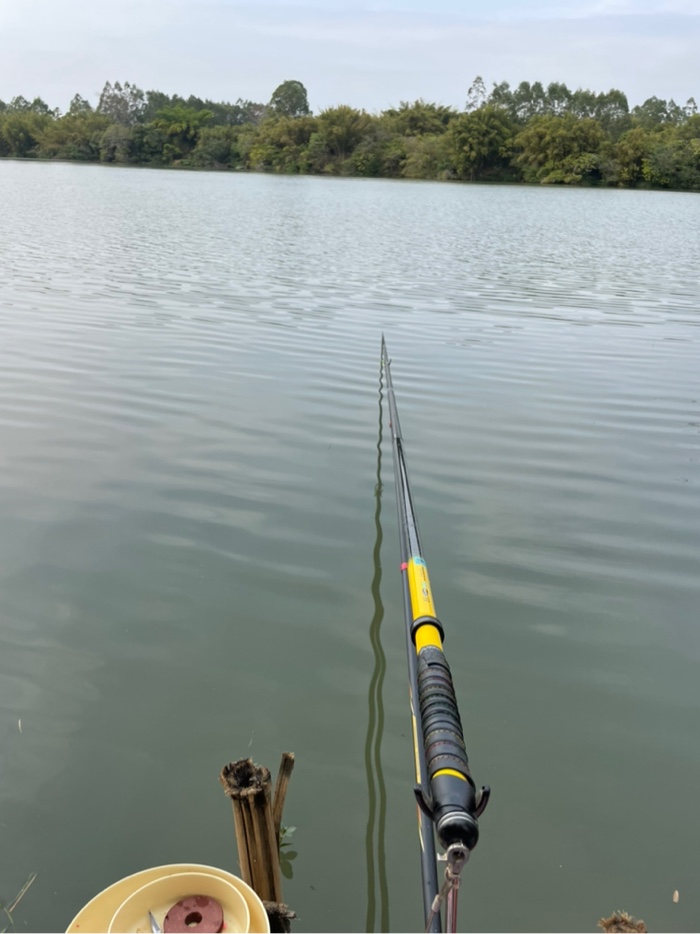 钓鱼|降温阴雨天出钓 鱼获少少少
