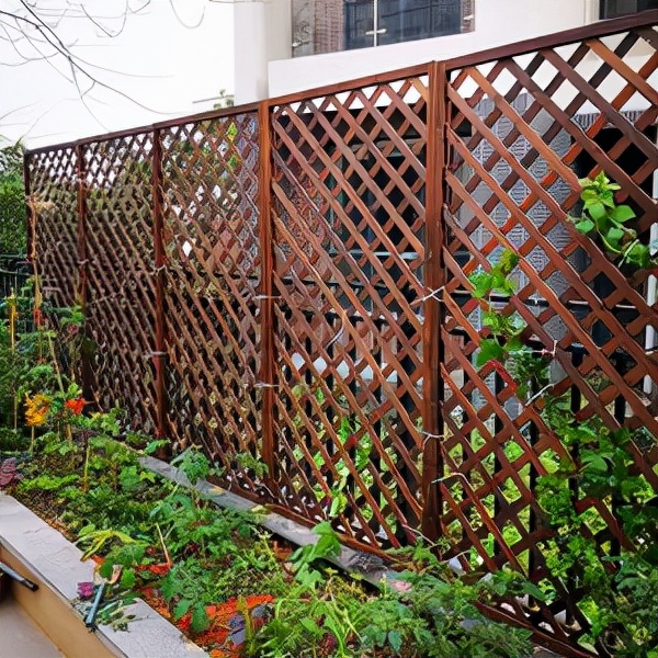 庭院围墙怎么选？竹篱笆、木栅栏、绿篱，总有一款适合你