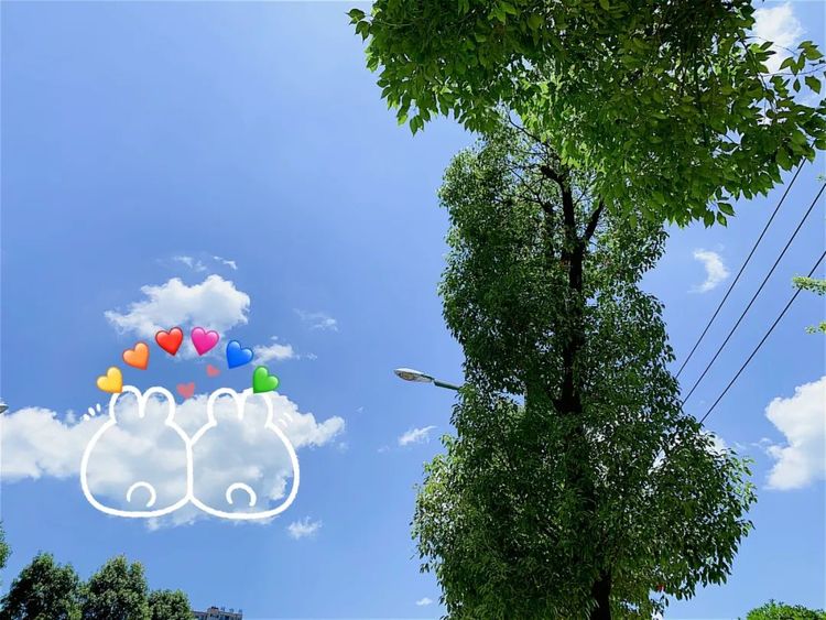 国务院常务会议 难过的时候就抬头看一看天