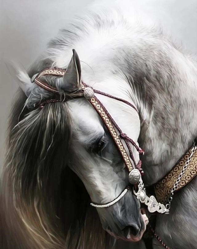  你好不好奇：驴究竟有什么特殊能力，为什么马永远无法取代它呢？